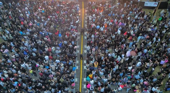 publiczność na koncertach