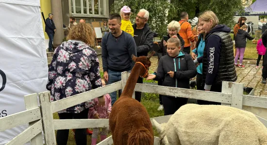 atrakcje dla dzieci podczas Dni i Nocy Krzywej Wieży 2025