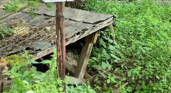 wakacje ze Szkołą Podstawową Nr 1 w Gminie Ząbkowice Śląskie