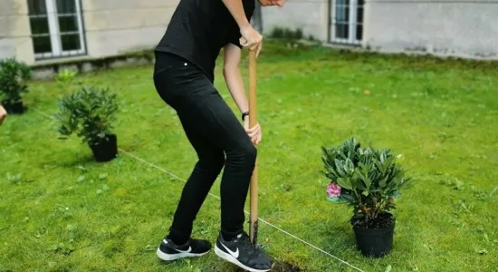 01a6cff8903f71c1a38f69921b005540