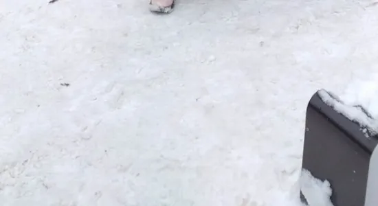 06874e8b2c8c0e7290d3d4d0d4857099