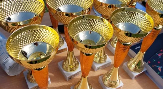 098acc336c6f9ed2ee1711d36ff33990