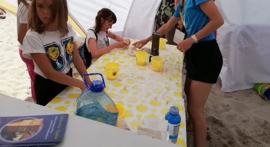 0b960d294d873fe9284a6aae990d9502