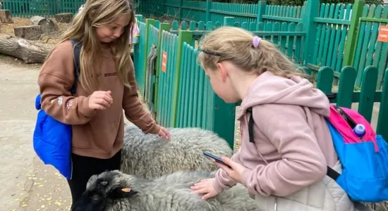 Zdjecie Nr 22 ZOO Wrocła