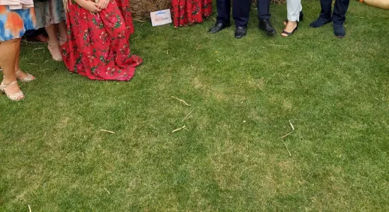 0dbfd9b0733bf7a81f20819f1a542e7f