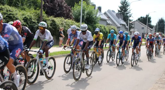 0e3d6a10536c57a283163514a68dd1ff