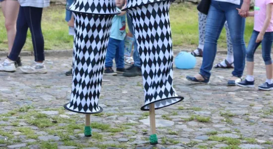 IMG 800