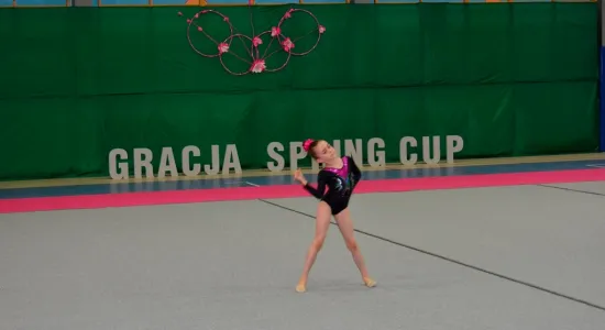  DSC795