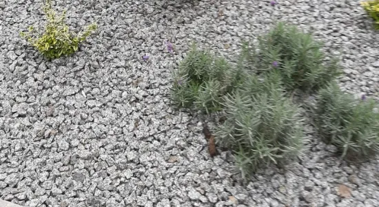 13773e3256b4d17aa0deb58e1f2d511e