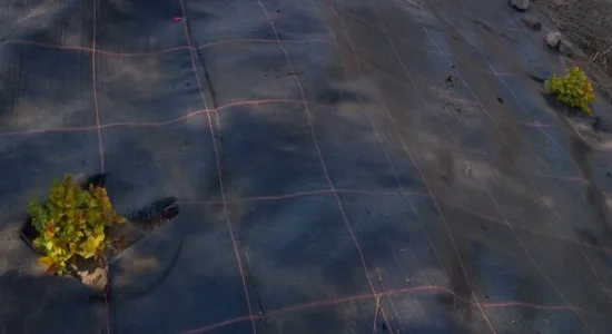 1bd12f79536e2d3ad16ca5b70558646a