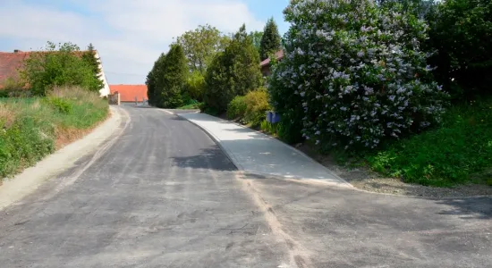  DSC984