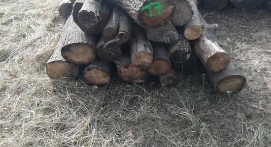 1c81e8e567d3bb14ec68fdbff87b749e