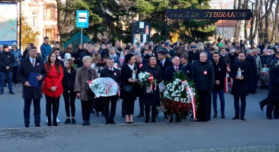  DSC446