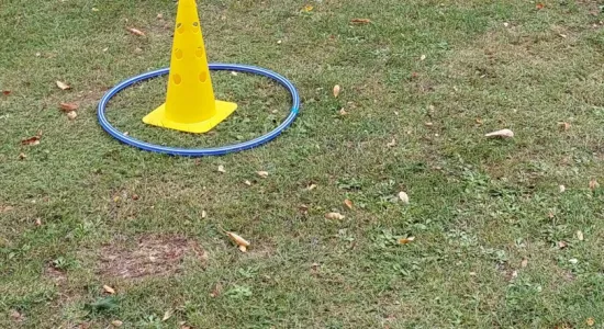 454444061 868938341811608 4260170973188052350 