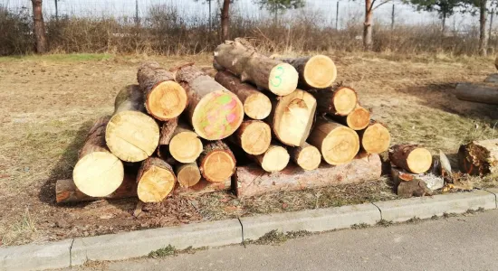 2190d82898fd6e127e98618b81206b99