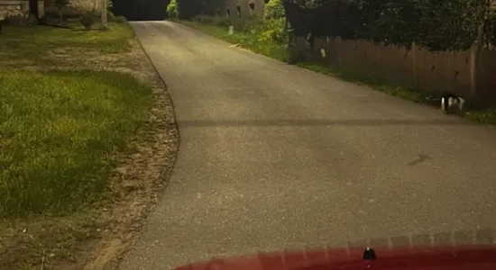 21ad74d7b2af620dce69756652847a5f