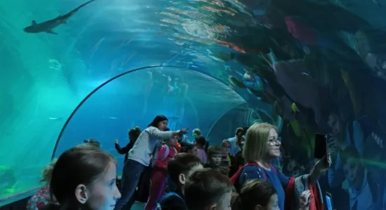 jelenia Góra Bramy Czasu (002