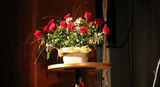 IMG 089