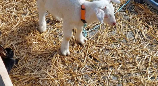 433187634 7994611427233560 6956257236503823715 