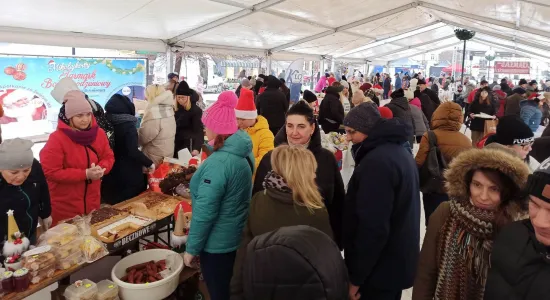 29c31ea142d8826a2c59c15f9eb346fa