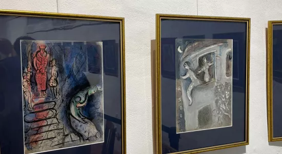 29e896028cadcf6f39a76373019d62c6