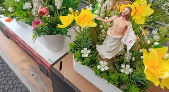 2a4c7b64dc1ab25cea8b1ed1b0eaade9