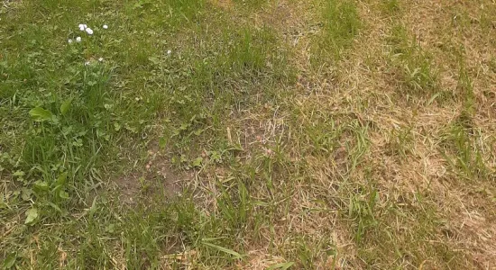 2af2492ac1924444eff5c57ac90db37e