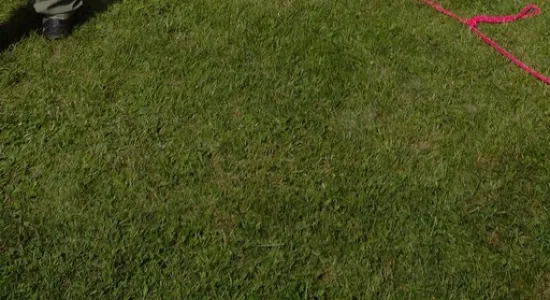 2b839b0cda6a906b5984713788b85a91