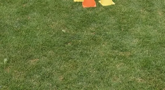 2daa5fec3cf2015abe0123c22cd792a4