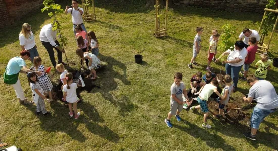 2e5e79631e12a6e7196fd7f46072acdd