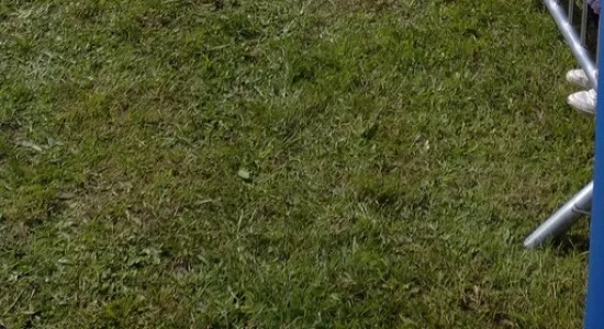 31cb7b49db702421a8e1ce3a5d70ac4f