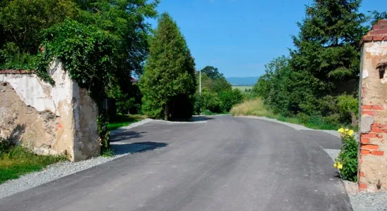  DSC351