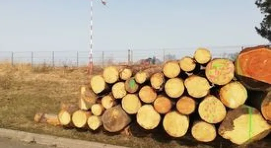 3706b8e77fc69ba722fe77c4a4d4c9d4