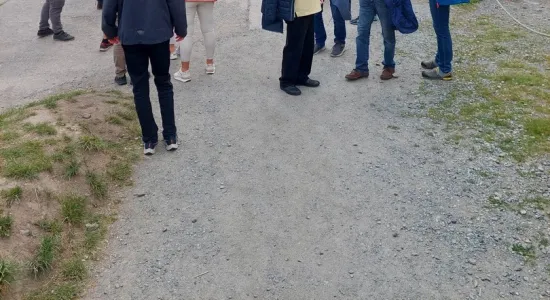 355308044 168104812910583 4393051518173422776 