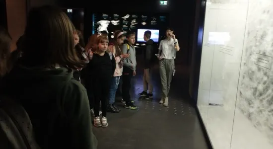 Zdjęcie nr 2 panorama racławick