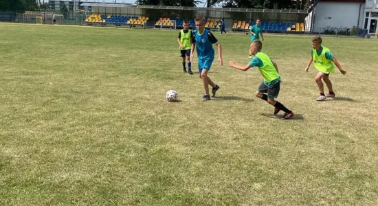 3c36fd7efc03db8bf935283bb142f823