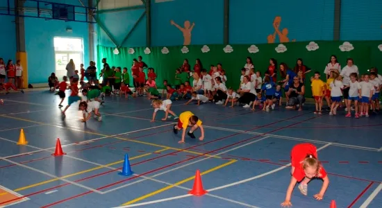  DSC330