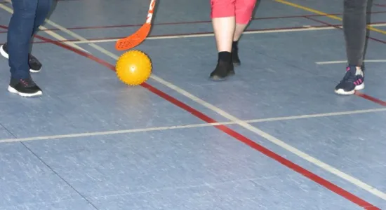 IMG 779