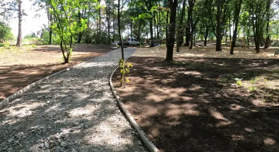 GOPR023