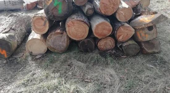 4a1c7896a843c40cd7a14d0a61bbf6cf