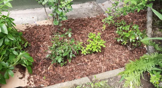 4e1525f65775525c9ee80bb7ca700b27