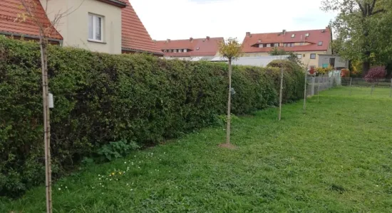 253199536 1959195034237825 2343647852330515171 n (002