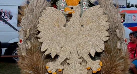  DSC387
