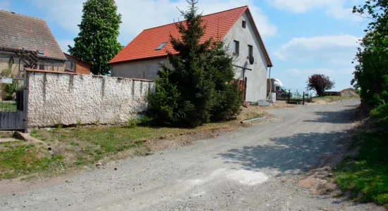  DSC980