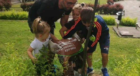 5c47f35defde7b0d3a1421b53182d7e1