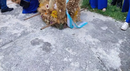 456469488 521058487262668 8806883456254511150 