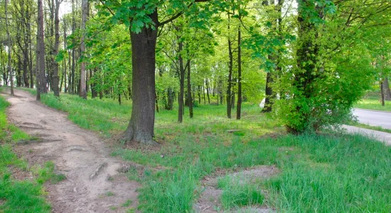 IMG 20200507 08364