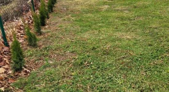 253727658 4651196731604440 3787942161929672216 n (002