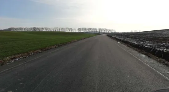  DSC555