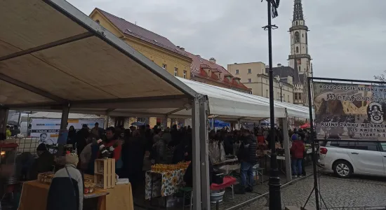 6a024e49a0a1a22e164ead071e0fcf10